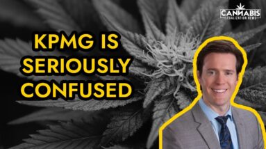 KPMG Confuses Craft Grower Applicants | Dispensary Lottery Update.