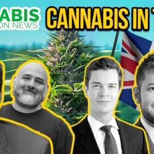 Is Cannabis Legal in the UK? UK Weed & CBD Laws Explained | Legal Weed UK | England Weed Laws