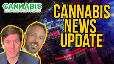 New Illinois Dispensary Laws, Federal Payroll Tax Credits for Cannabis Businesses and More News