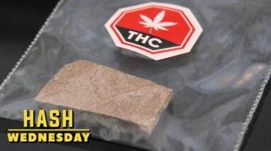 Legacy Hash Wednesday 18 Legacy Hash Wednesday