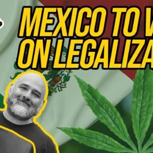 Mexican Lawmakers To Vote On Marijuana Legalization; Georgia Introducing Marijuana Legalization Bill