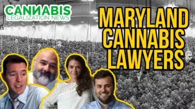 Maryland & Washington DC Cannabis Lawyers | Kinner & McGowan