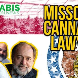 Missouri Cannabis Lawyer