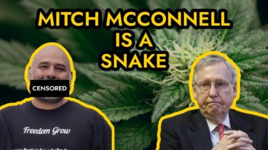 Mitch McConnell Hates Marijuana - Stops Unemployment Stimulus