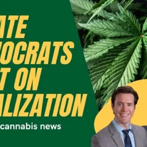Senate Democrats Split Over Legalizing Weed and More Cannabis Legalization News