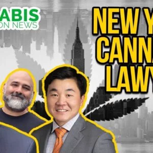 New York Cannabis Legalization