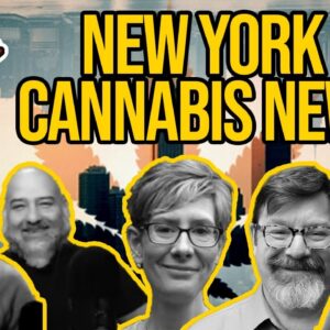 New York Cannabis News | Will New York Legalize in 2021?