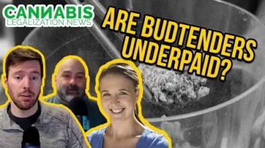 Starting a Cannabis Business | Building Your Team | HR Software for Cannabis Businesses