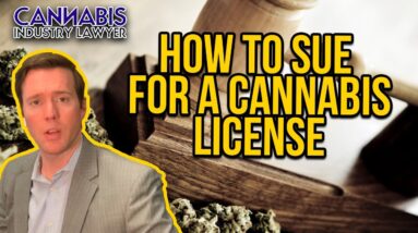 How to Sue for a Cannabis License - Illinois, Missouri & Florida marijuana litigation examples