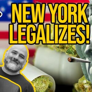 New York Votes to Legalize Marijuana; New York Becomes 16th State to Legalize Marijuana