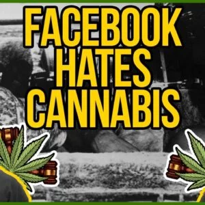 Cheech and Chong got kicked off Facebook! - Cannabis needs trusted media and platforms