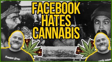 Cheech and Chong got kicked off Facebook! - Cannabis needs trusted media and platforms