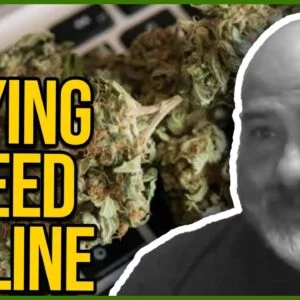Can I buy weed online? | How to avoid cannabis scammers | Follow your laws when buying weed online