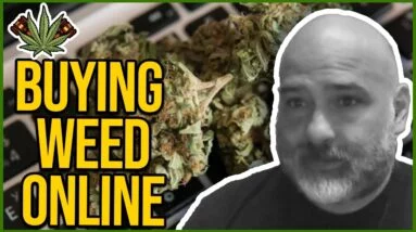Can I buy weed online? | How to avoid cannabis scammers | Follow your laws when buying weed online