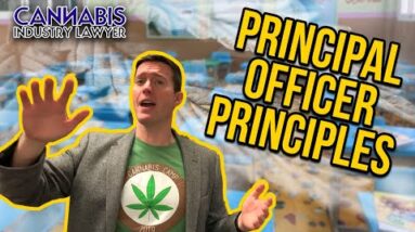 Principal Officers for Cannabis Companies