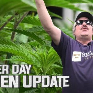 Remo's Garden Update (TRIGGER DAY)