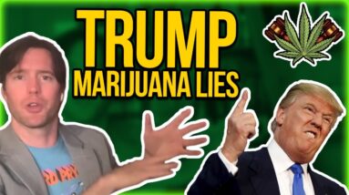 Trump Marijuana Lies & Coronavirus Politics - Dr. Fauci as the new Dr. Woodward | cannabis satire