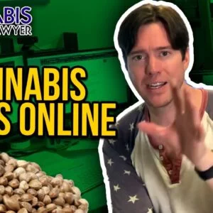 Are Online Cannabis Seeds Legal? Where to get cannabis seeds online. | Marijuana & Weed Seeds online