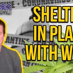 Shelter in Place with Weed - Dispensaries Open During Quarantine