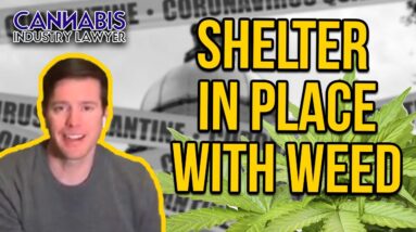 Shelter in Place with Weed - Dispensaries Open During Quarantine