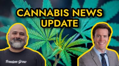 Cannabis News - Mississippi to vote on medical marijuana, Navy bans CBD products, and more