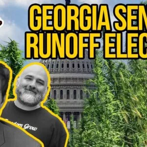 Georgia Senate Runoff Election Could Determine the Future of Cannabis Legalization
