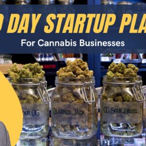 The First 90 Days of Starting a Cannabis Business