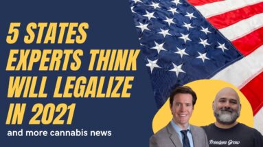 These States Could Still Legalize Cannabis in 2021