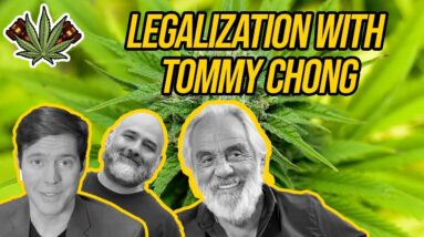 Tommy Chong on Legalization, the DEA, and the Evolution of Weed