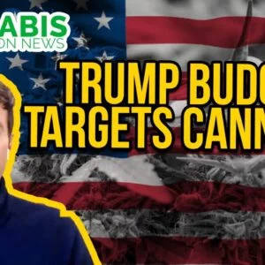 Trump Budget Targets Cannabis / Medical Marijuana Patients