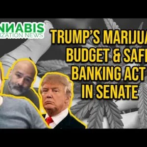 Trump's Marijuana Budget & SAFE Banking Act in Senate