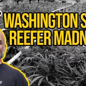 Washington State Reefer Madness HB1463 | Cannabis Concentrate Ban Bill