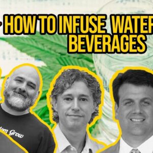 Water-Compatible Cannabis Extracts for Cannabis Beverages