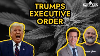 Will Trump’s Executive Order Hurt the Cannabis Industry?