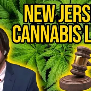 New jersey cannabis laws | 37 cultivation licenses coming to NJ | Cannabis Regulatory Commission