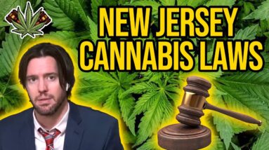 New jersey cannabis laws | 37 cultivation licenses coming to NJ | Cannabis Regulatory Commission