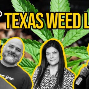Texas Marijuana Laws | Is Weed Legal in Texas? | Weed in Texas with Texas NORML and DFW NORML
