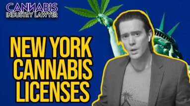 New York Cannabis License | MRTA Explained for NY Cannabis Business Licenses