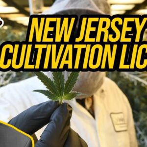 New Jersey Cannabis Cultivation License | Getting a Cannabis License in New Jersey