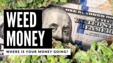 Legal Weed Made More Money Than the Government Knows What to Do With