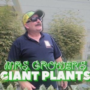 Mrs. Grower's Giant Plants Update