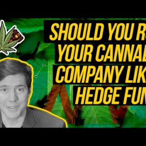 Should You Run Your Cannabis Company Like a Hedge Fund?