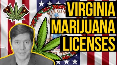 Virginia Cannabis Licenses Timelines & Social Equity