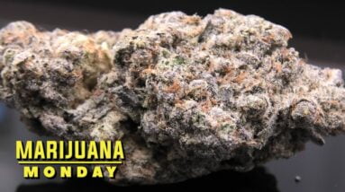 Bubba's Gift Marijuana Monday