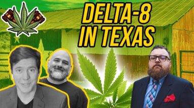 Delta-8 in Texas | How Long Will Delta-8 THC Be Legal in Texas?