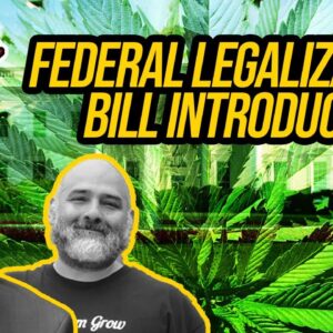 Cannabis Administration and Opportunity Act | Federal Cannabis Legalization News