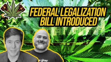 Cannabis Administration and Opportunity Act | Federal Cannabis Legalization News