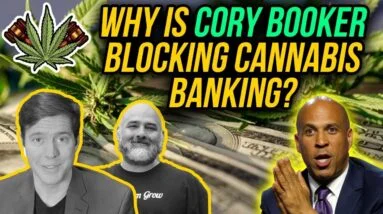 Cory Booker Threatens To Block Cannabis Banking Bills