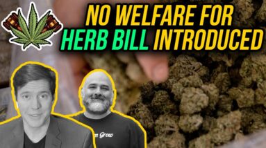 These Two Lawmakers Want to Block Low-Income People From Buying Herb