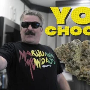 YOU CHOOSE the buds for Marijuana Monday!